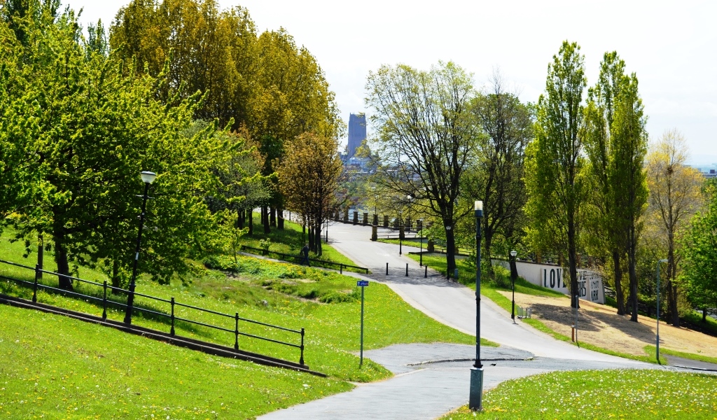 view of Anglican cathedral